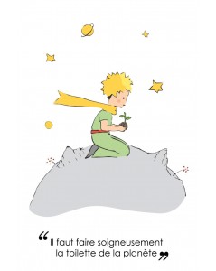 Carte Postale Le Petit Prince Lppc011