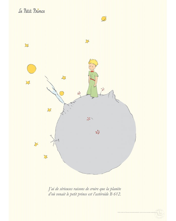 Poster : The Little Prince on B612 (50x70cm)