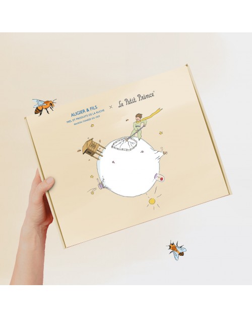 Adorable Magnet mini-livre de Citations Le Petit Prince – Le Petit